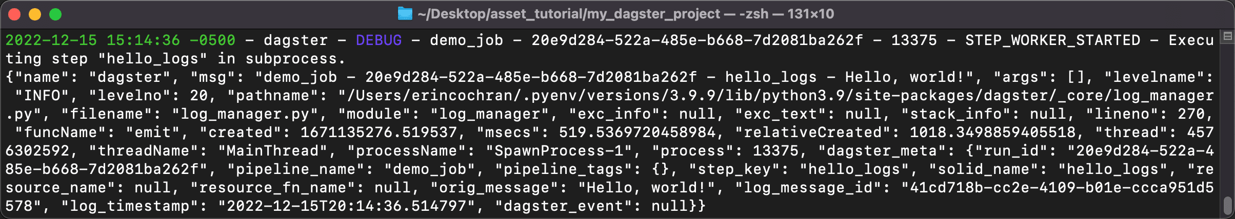 Custom logger Terminal output